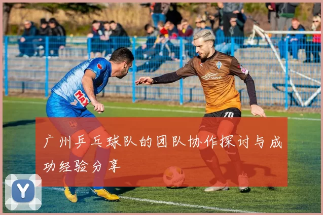 广州乒乓球队的团队协作探讨与成功经验分享