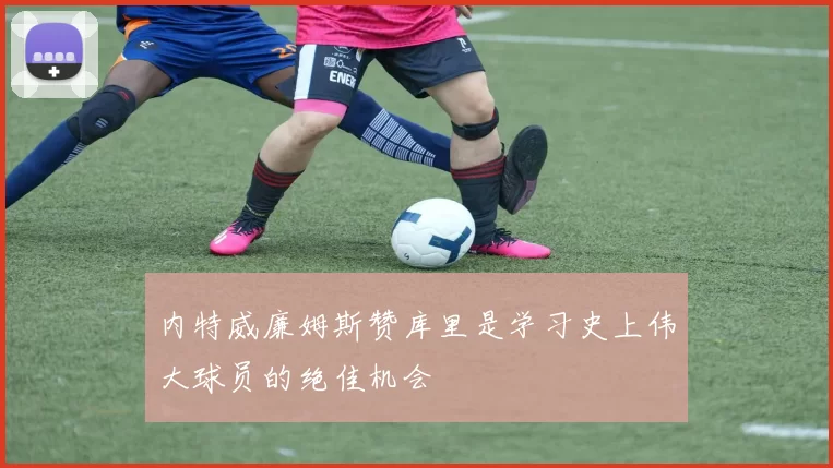 内特威廉姆斯赞库里是学习史上伟大球员的绝佳机会