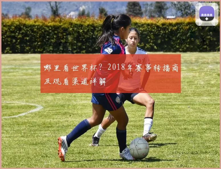 哪里看世界杯？2018年赛事转播商及观看渠道详解