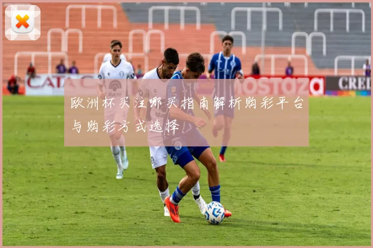 欧洲杯买注哪买指南解析购彩平台与购彩方式选择