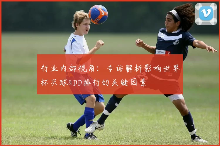 行业内部视角：专访解析影响世界杯买球app排行的关键因素