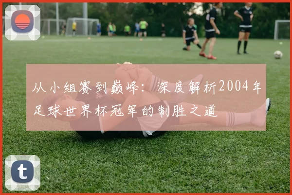 从小组赛到巅峰：深度解析2004年足球世界杯冠军的制胜之道