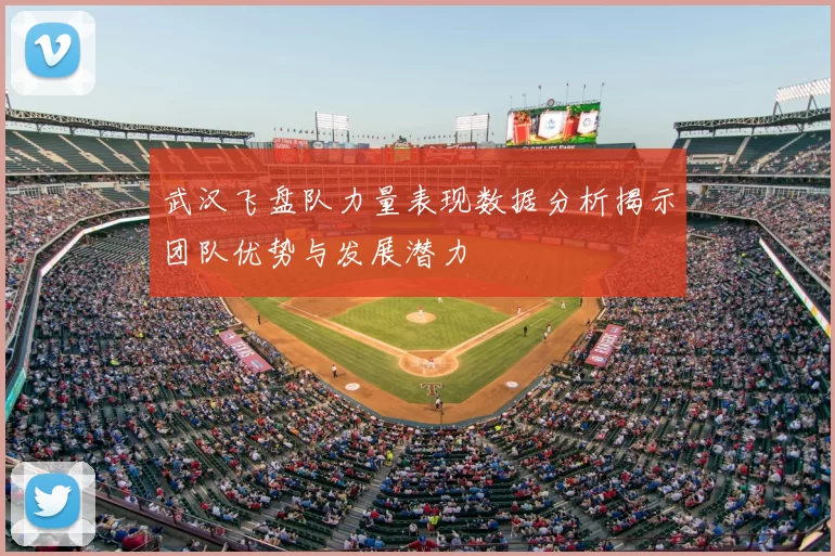 武汉飞盘队力量表现数据分析揭示团队优势与发展潜力