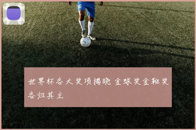 世界杯各大奖项揭晓 金球奖金靴奖各归其主