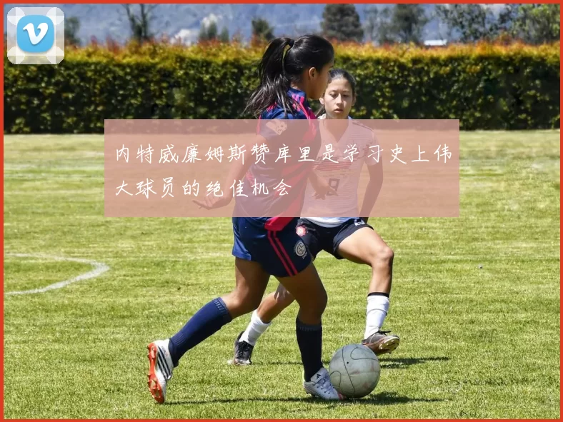 内特威廉姆斯赞库里是学习史上伟大球员的绝佳机会