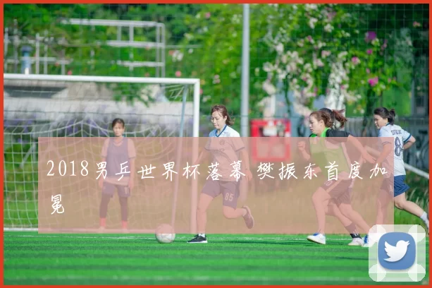 2018男乒世界杯落幕 樊振东首度加冕
