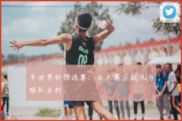 年世界杯预选赛：各大赛区战况与球队分析